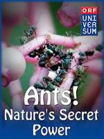 Watch Ants: Nature\'s Secret Power Vidbull
