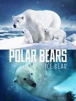 Watch Polar Bears: Ice Bear Vidbull