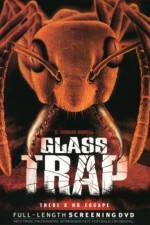 Watch Glass Trap Vidbull