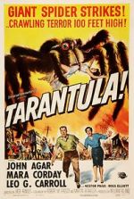 Watch Tarantula Vidbull