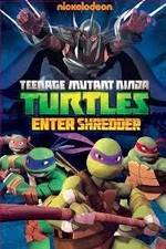 Watch Teenage Mutant Ninja Turtles: Enter Shredder Vidbull