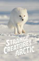 Watch Strange Creatures of the Arctic (TV Special 2022) Vidbull