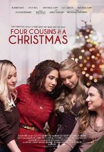 Watch Four Cousins and A Christmas Vidbull