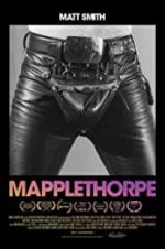 Watch Mapplethorpe Vidbull