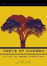 Watch Taste of Cherry Vidbull