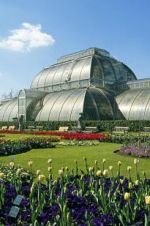 Watch Cruickshank on Kew: The Garden That Changed the World Vidbull