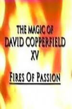 Watch The Magic of David Copperfield XV Fires of Passion Vidbull
