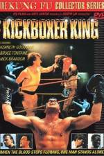 Watch Kickboxer King Vidbull