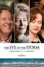 Watch The Eye of the Storm Vidbull