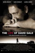 Watch The Life of David Gale Vidbull