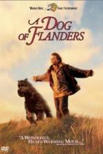 Watch A Dog of Flanders Vidbull