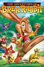 Watch The Adventures of Brer Rabbit Vidbull