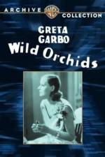Watch Wild Orchids Vidbull