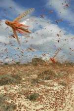 Watch Swarm Chasers: Locusts Vidbull