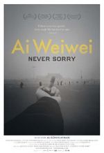 Watch Ai Weiwei: Never Sorry Vidbull