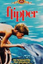 Watch Flipper Vidbull