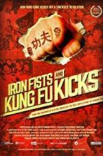 Watch Iron Fists and Kung Fu Kicks Vidbull