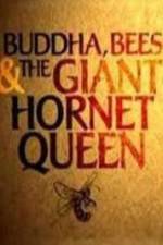 Watch Natural World Buddha Bees and the Giant Hornet Queen Vidbull