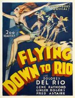 Watch Flying Down to Rio Vidbull
