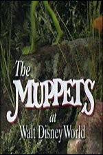 Watch The Muppets at Walt Disney World Vidbull
