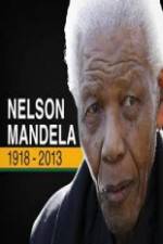 Watch Nelson Mandela: The Final Chapter Vidbull