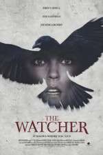 Watch The Ravens Watch Vidbull
