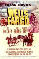 Watch Wells Fargo Vidbull