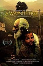 Watch A Walnut Tree Vidbull