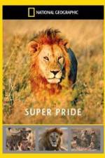 Watch National Geographic: Super Pride  Africa's Largest Lion Pride Vidbull