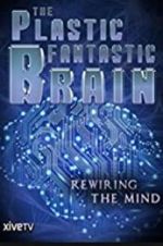 Watch The Plastic Fantastic Brain Vidbull