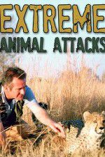 Watch Extreme Animal Attacks Vidbull