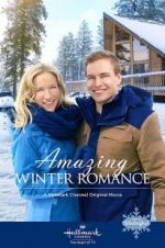 Watch Amazing Winter Romance Vidbull