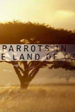 Watch Nature Parrots in the Land of Oz Vidbull