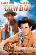 Watch Cowboy Vidbull