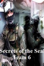 Watch Discovery Channel Secrets of Seal Team 6 Vidbull