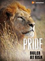 Watch Pride - Ruler\'s at Risk Vidbull