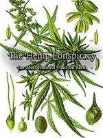 Watch The Hemp Conspiracy: The Most Powerful Plant in the World (Short 2017) Vidbull