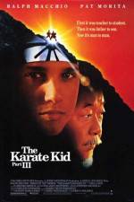Watch The Karate Kid, Part III Vidbull