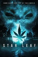 Watch Star Leaf Vidbull