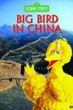 Watch Big Bird in China Vidbull