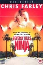 Watch Beverly Hills Ninja Vidbull