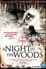 Watch A Night in the Woods Vidbull