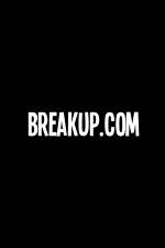 Watch Breakup.com Vidbull