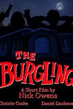 Watch The Burgling Vidbull