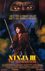 Watch Ninja III: The Domination Vidbull