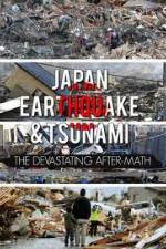 Watch Japan Aftermath of a Disaster Vidbull