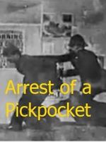 Watch The Arrest of a Pickpocket Vidbull