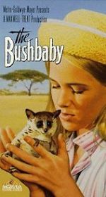 Watch The Bushbaby Vidbull