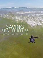 Watch Saving Sea Turtles: Preventing Extinction Vidbull