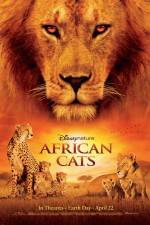Watch African Cats Vidbull